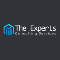 The Experts Consulting Services logo - Similar company to Bid Sathi International