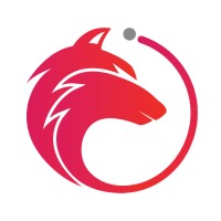 Expedition Insight logo - Similar company to Rule Six Consulting Services