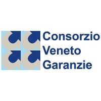 Consorzio Veneto Garanzie logo - Similar company to Cofidi Veneto