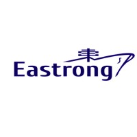 PT. Eastrong International Logistics logo - Similar company to All Star Link Logistics Co., Ltd.