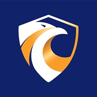 Falco Security logo - Similar company to No Name