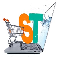SILICON TECH logo - Similar company to Groupe Itermi