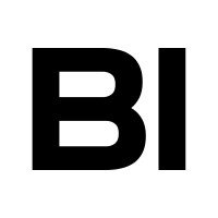 BI Consulting logo - Similar company to Bi Brainz Group