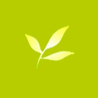 Smiling Tree logo - Similar company to Inception Design Cell
