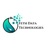 Fetsi Data Technologies logo - Similar company to The Data Consortium