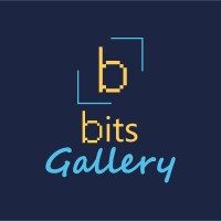 Bits Gallery logo - Similar company to Orchestra Systems