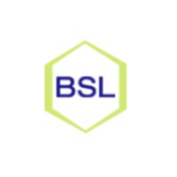 Bhayani Securities (Pvt) Limited logo - Similar company to Empowered