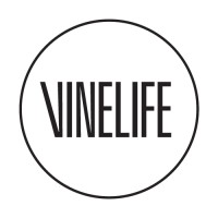 Vinelife Church Manchester