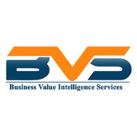 BVS logo - Similar company to Boston It Services Inc