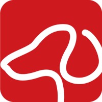 RedRoverIT logo - Similar company to Redrover Llc.