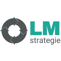 LM Strategie logo - Similar company to Popamine