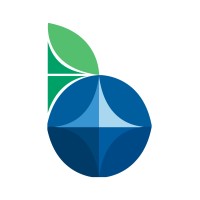 Bluberry logo - Similar company to Fly Box, Qmap