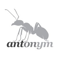 Antonym Creative Co. logo - Similar company to School Journey