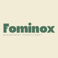 Fominox Management Consultancy logo - Similar company to Cybertech Digital • Ct