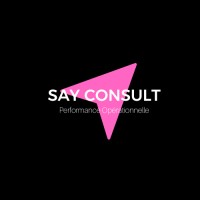 SAY CONSULT logo - Similar company to Alcom Consulting