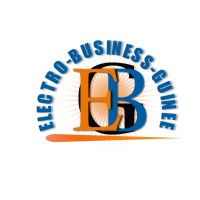 ELECTRO BUSINESS GUINEE logo - Similar company to Cfem Guinee