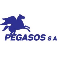 Pegasos S.A. logo - Similar company to Pegasus