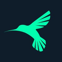 Flyvision Media GmbH logo - Similar company to Meidlinger Group