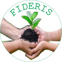 FIDERIS ADVISORY logo - Similar company to Fidelise Médiation Et Stratégie