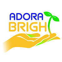 Adora Bright Pediatric Therapy Services logo - Similar company to Watermelon Paediatric Occupational Therapy