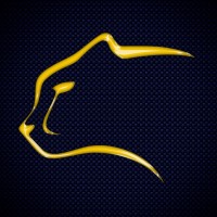 Cheetah Racing Unifei