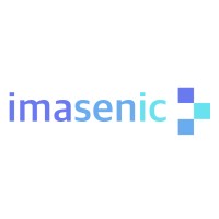 IMASENIC logo - Similar company to Semidynamics