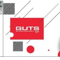 GUTS Electro-Mech Ltd. logo - Similar company to The Circuit Breakers