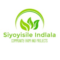 Siyoyisile Indlala logo - Similar company to Indagatus