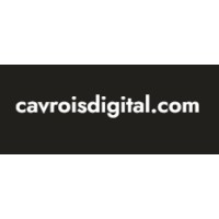 Cavroisdigital logo - Similar company to Cavrois Digital