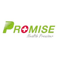 Promise Technology Co., Ltd. logo - Similar company to Handi-Pro-Avenir
