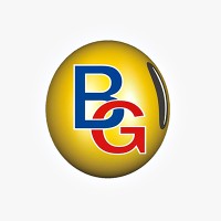 Bindgalvão logo - Similar company to Grupo Zaamp
