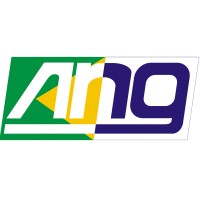 Ang Assessoria Nacional De Gestão Para Excelência Ltda.