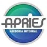 Consultora APRIES SPA logo - Similar company to Cg360Consulting