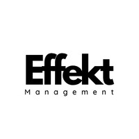 Effekt Management logo - Similar company to Pmx Consulting