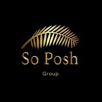 So Posh Group Ltd logo - Similar company to Icinet