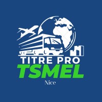 TSMEL Nice logo - Similar company to Trust Global Solutions