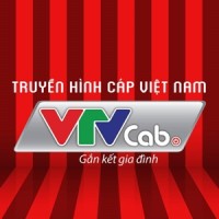 VTVCab logo - Similar company to Restful Mind