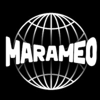 MARAMEO logo - Similar company to Twinematics
