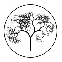 Branching Narrative logo - Similar company to Debunqed | Simple Online Tech Solutions