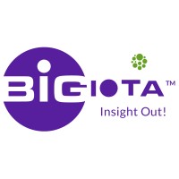 Bigiota Analytics LLP logo - Similar company to Techiebears