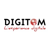 Digitom logo - Similar company to Infodom