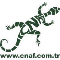 CNaf Ins. Taah. Tic. Ltd. Sti. logo - Similar company to Cnaf-Set Jv