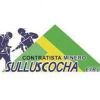 CONTRATISTA MINERO SULLUSCOCHA EIRL logo - Similar company to Teirsac