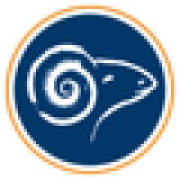 Risk Assurance Management Limited logo - Similar company to Dp Pensions Ltd