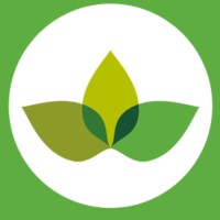 Action Pour Un Environnement Sain (Apes)