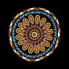 Aboriginal Investment NT logo - Similar company to Indigenous General Practice Trainee Network (Igptn)