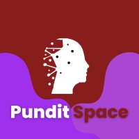PunditSpace logo - Similar company to Workforce Africa