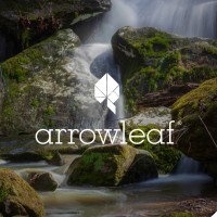 Arrowleaf logo - Similar company to Arrowleaf