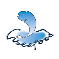 VISEAFOOD INTERNATIONAL LIMITED logo - Similar company to 株式会社Ｅ－Ｌｉｎｅ