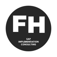 FH Sap Consulting logo - Similar company to Inam Controls
